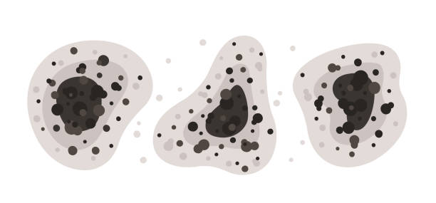 Best Comprehensive Air Testing for Mold Contaminants  in Martsville, IN