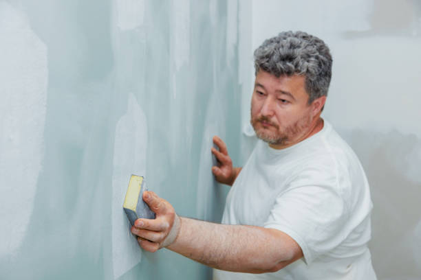 Mold Documentation for Insurance Claims in Martinsville, IN