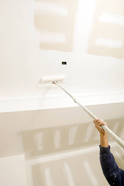 Professional Mold Removal in Martinsville, IN